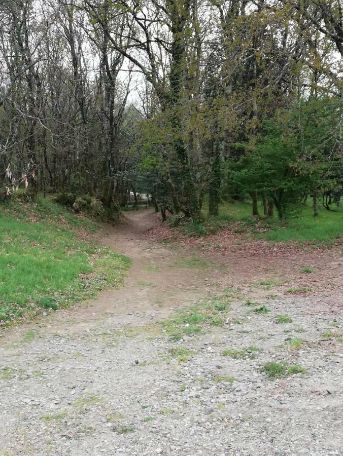 Apartamento Sigueeiro Camino Ingles سيغويرو المظهر الخارجي الصورة